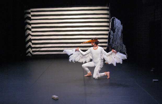 cigogne_2 cigogne_2